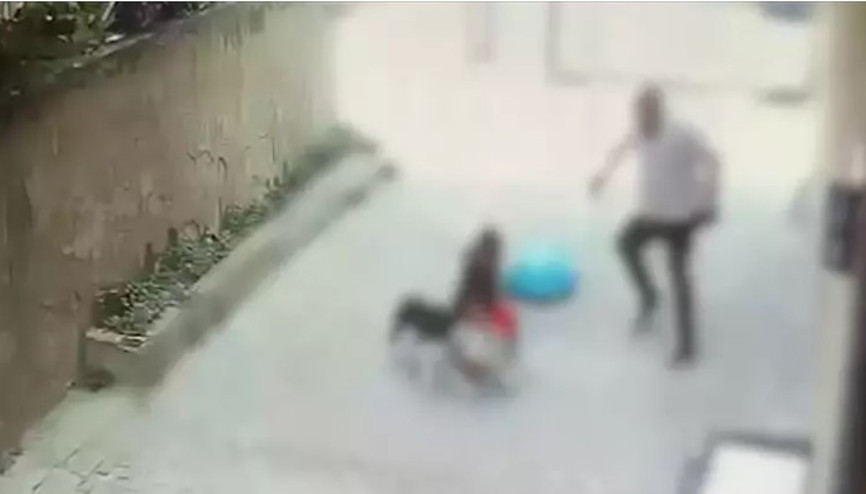 Ataşehir’de pitbull’un saldırdığı 7 yaşındaki Ahmet’in annesi: Tasması yok, boynunda ipi yok