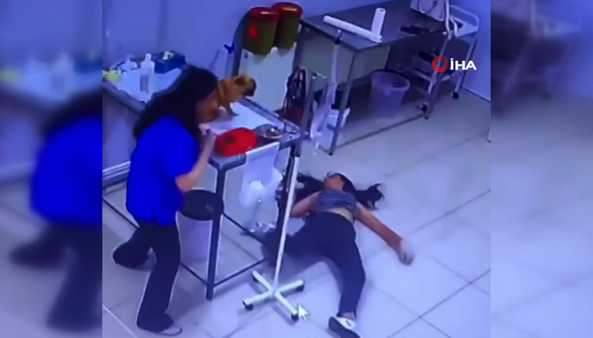 Veteriner kliniğinde panik anları Köpeğini tedavi ettiren kadın bir anda bayıldı