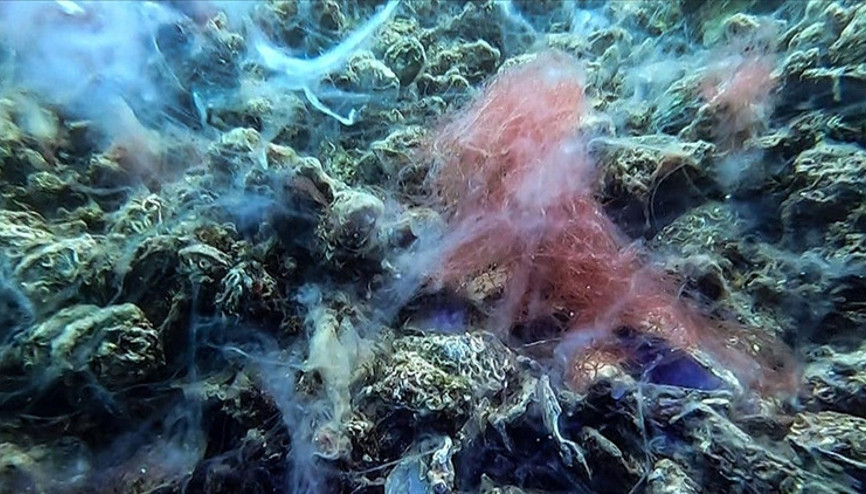 Marmara Denizinde kabus geri döndü Ölüme sürüklüyor