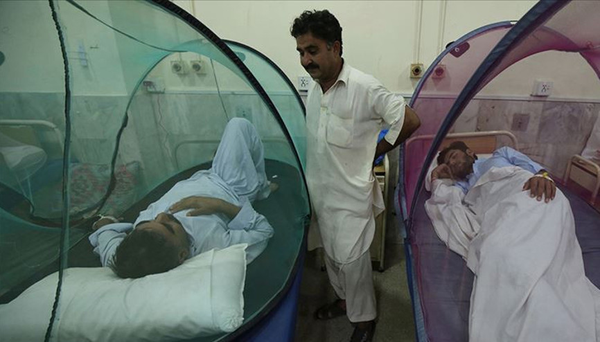 Dang hummasına karşı ittifak kuruldu