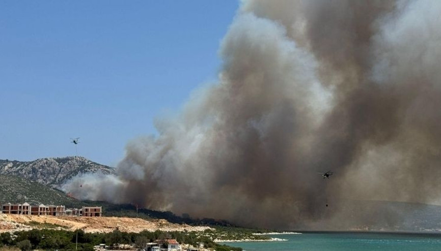İzmirde korkutan orman yangını
