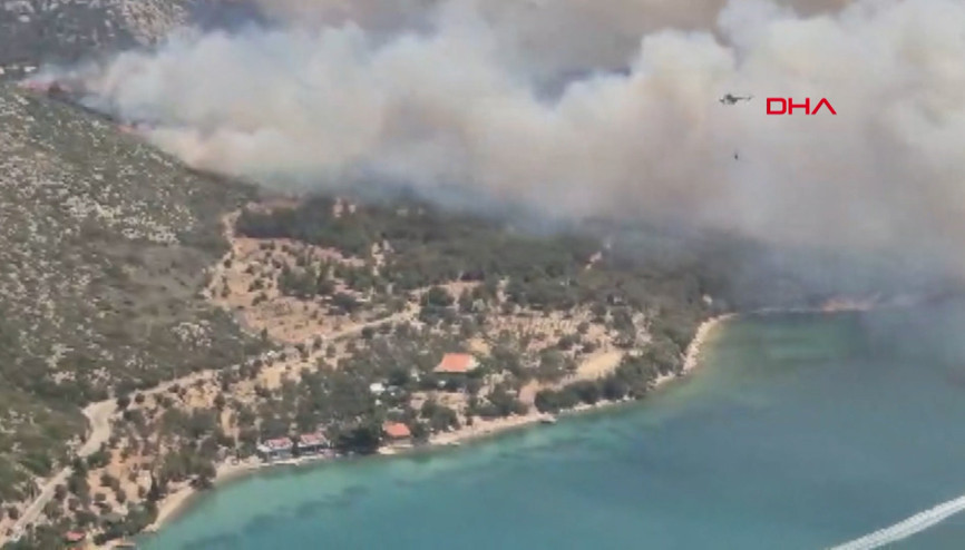 İzmir Foçada orman yangını