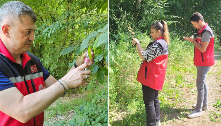 Kandıra’da 5 bin adet Samuray Arısı doğaya salındı