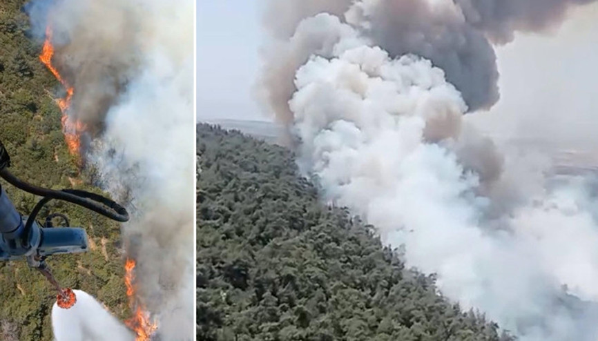 Son dakika... İzmir Foçada orman yangını Alevler bazı evlere sıçradı