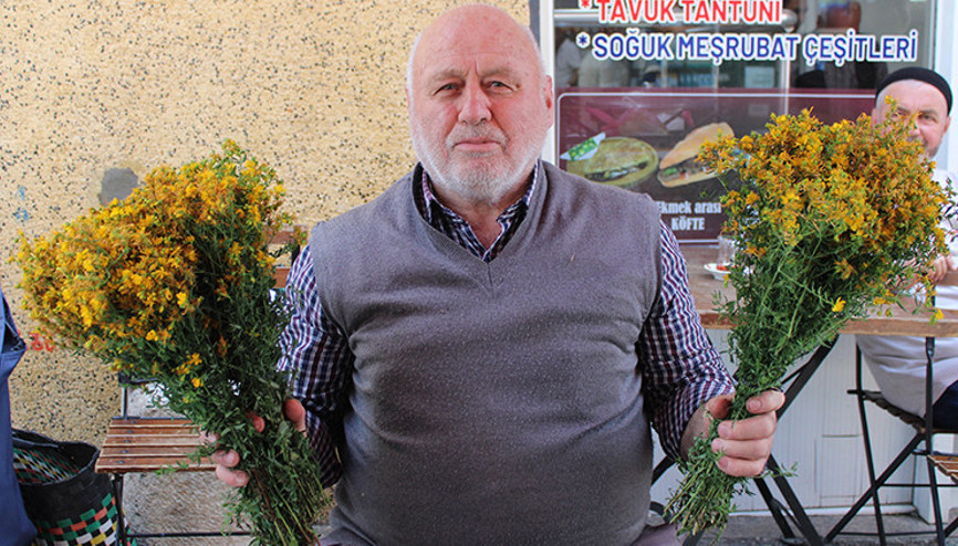 Dağlardan toplayıp pazarda satıyorlar: Faydaları satmakla bitmiyor