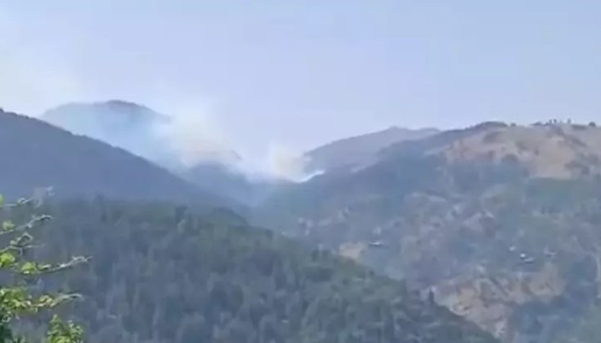 Adana’da orman yangını