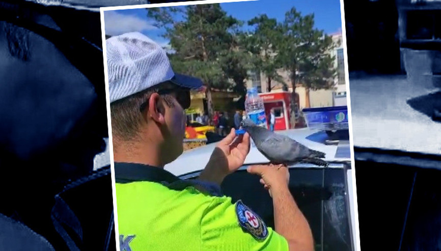Trafik polisinin merhameti kalpleri ısıttı | Valilik görüntüleri paylaştı: Yürekten alkışlıyoruz