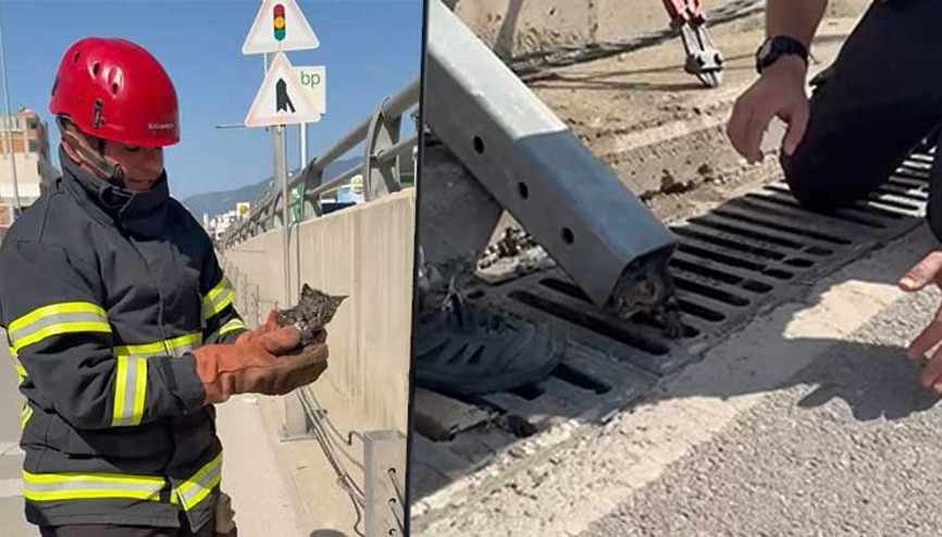 İmdadına itfaiye ekipleri yetişti Osmaniye’de refüj demiri içinde sıkışan yavru kedi kurtarıldı