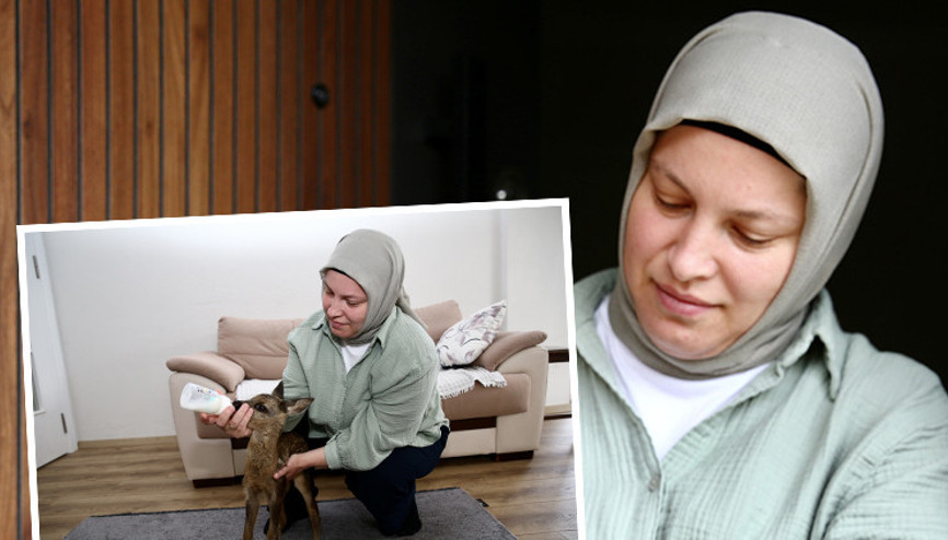 Köylüler buldu, genç kadın bebek gibi bakıp ayağa kaldırdı... Evcilleşmesi imkansız, 3 metre sıçrayabiliyor