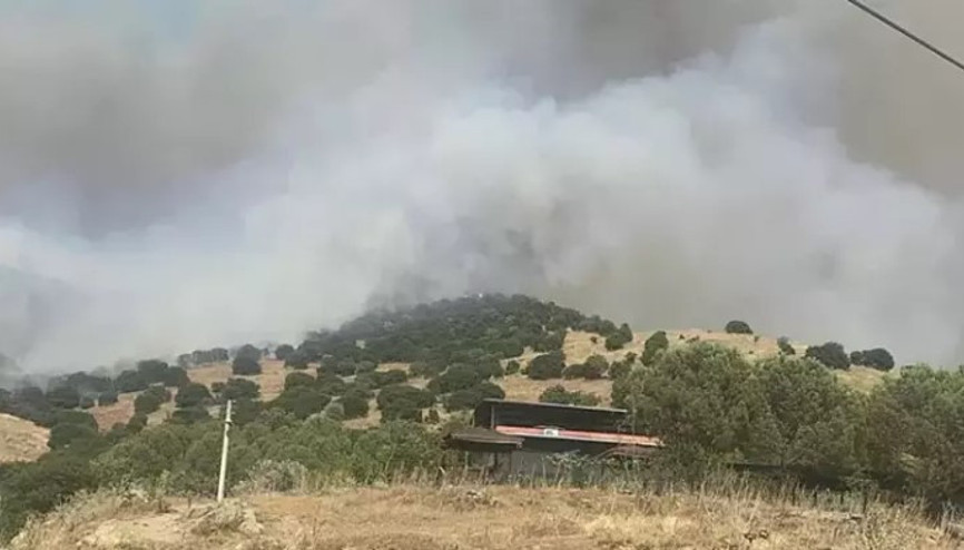 Aydın’da zirai alanda yangın