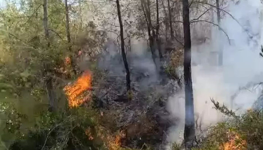 3 ilde orman yangını... Havadan ve karadan müdahale sürüyor