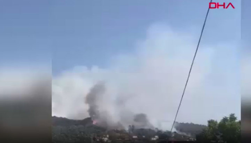 Aydında orman yangını