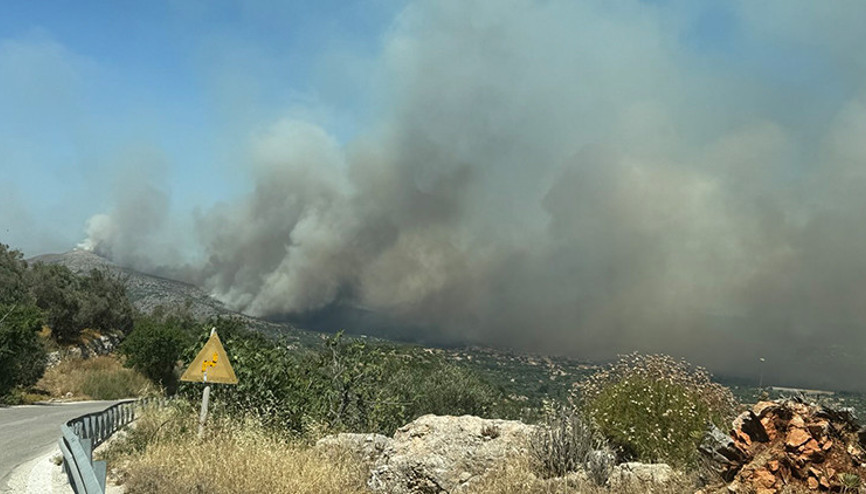 Sakız Adasında kundaklama şüphesi: Soruşturma ekibi görevlendirildi