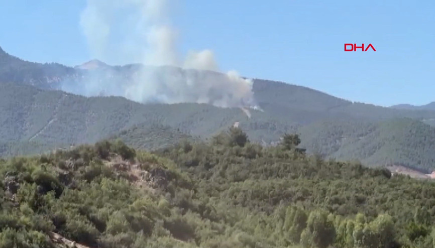 Hatay’da orman yangını