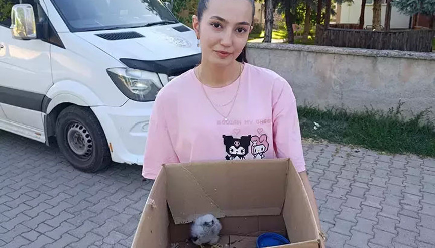 Koruma altındaki çok özel bir tür: Sivasta bir çocuk tarafından bulundu