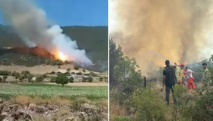 Bursa’nın Yenişehir ilçesinde orman yangını