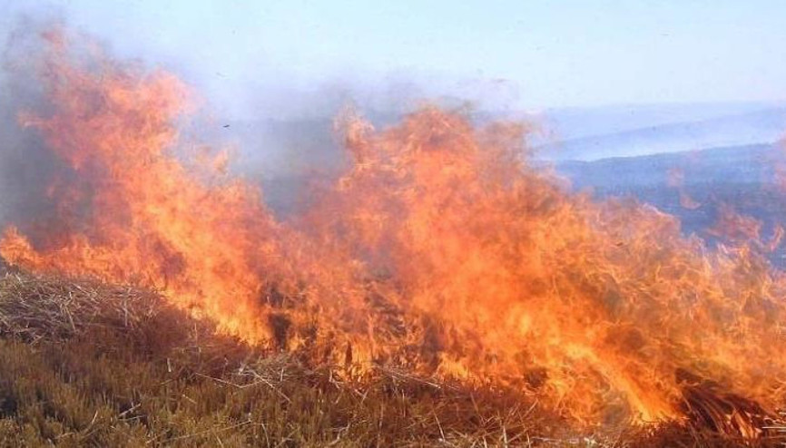 Meteorolojiden orman yangını uyarısı