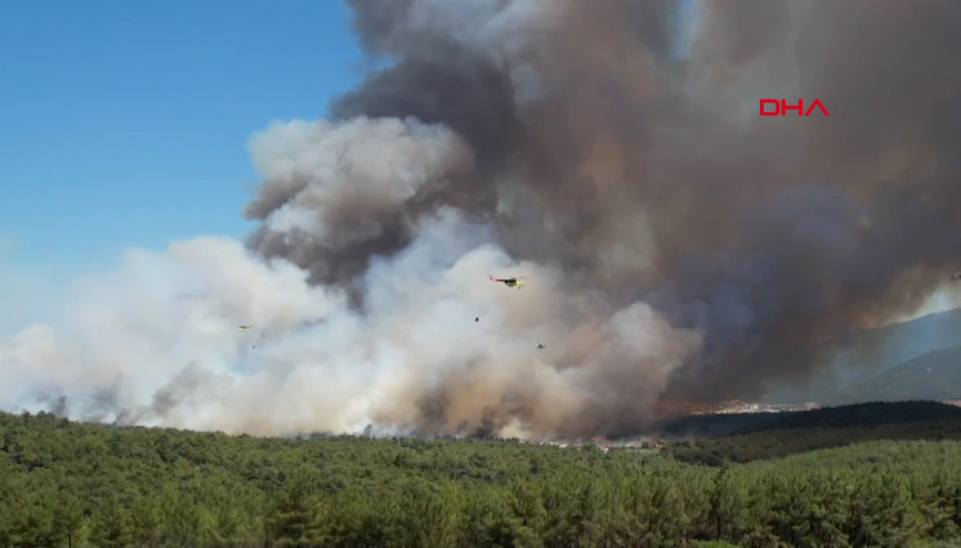 İzmir’in Bornova ilçesinde orman yangını