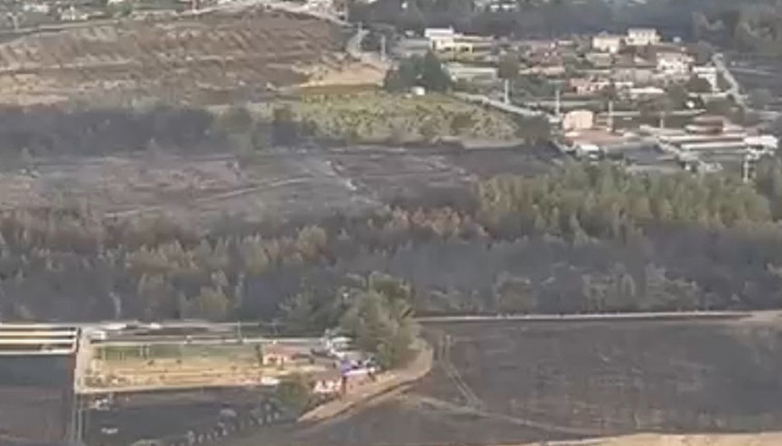 İzmir Bornovadaki orman yangını kontrol altında