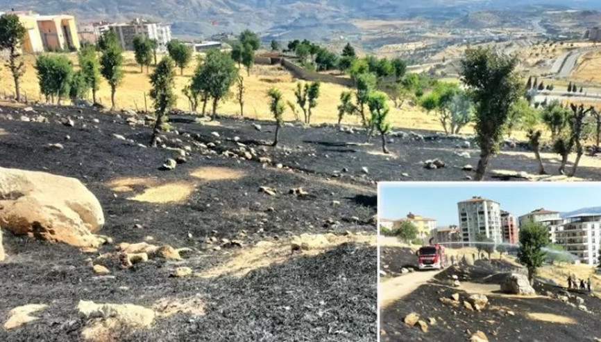 Menemen yapmak isteyen çocuklar yangına neden oldu