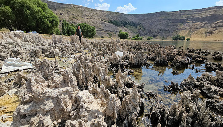 Van Gölü sahilleri mikrobiyalit tarlasına döndü