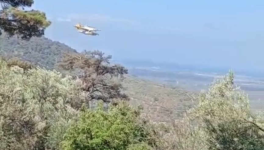 Balıkesirdeki orman yangını 24 saatte kontrol altına alındı Balıkesirdeki orman yangını 24 saatte kontrol altına alındı