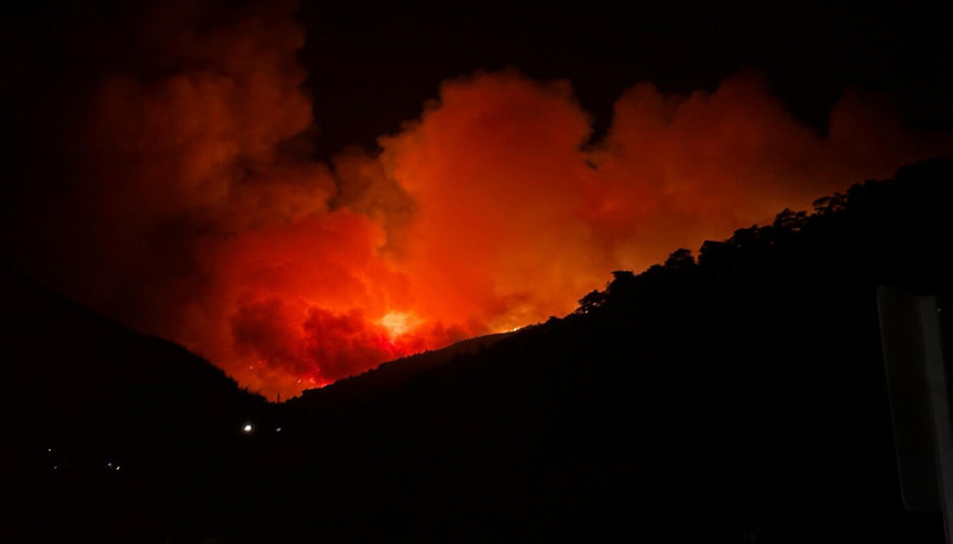 İzmir Ödemişte orman yangını