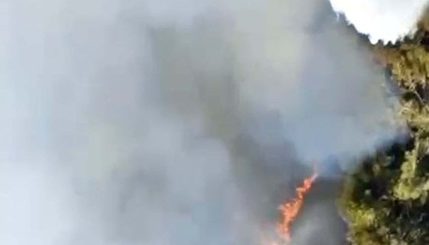 Ödemişteki orman yangını 2nci gününde