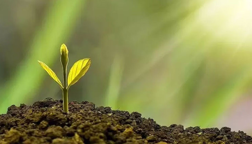 Çevre, Şehircilik ve İklim Değişikliği Bakanlığı, İklim Kanununa ilişkin iddialara yanıt verdi