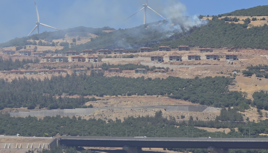Gaziantepin çalılıkta çıkan yangın söndürüldü Gaziantepin çalılıkta çıkan yangın söndürüldü