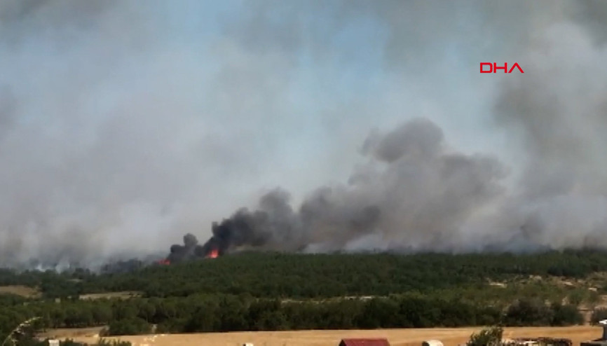 İstanbul Silivride orman yangını