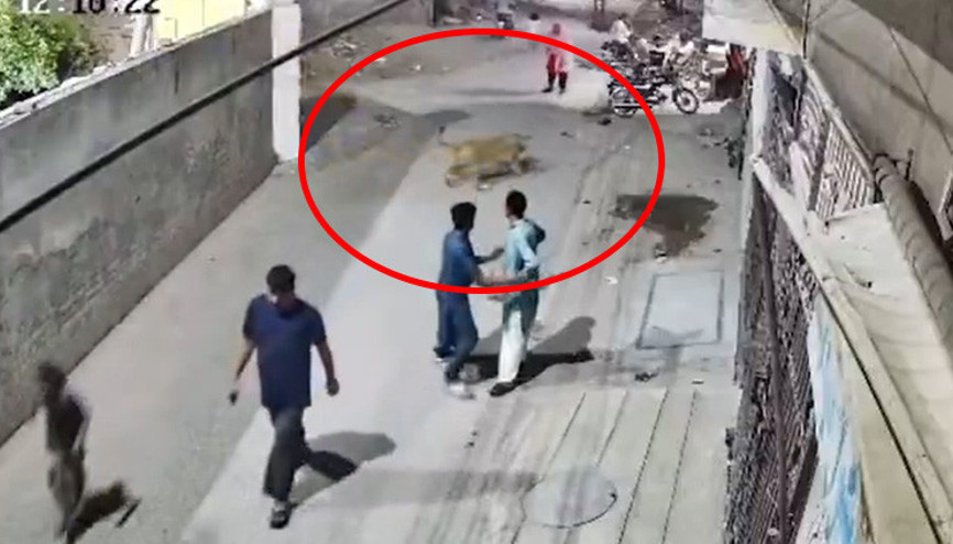 Sokakta aslan dehşeti Kadını ve çocuklarını yaraladı... Sahipleri izleyip eğlendi