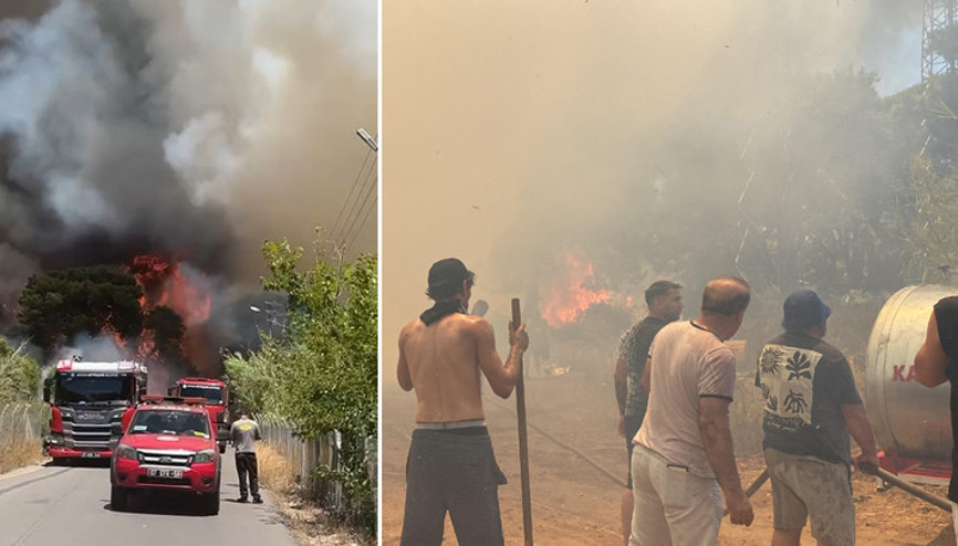 Orman yangınlarıyla mücadele | Antalya, Hatay, Bursa, Edirnede yangınlar kontrol altında... Alevlere turistler müdahale etti