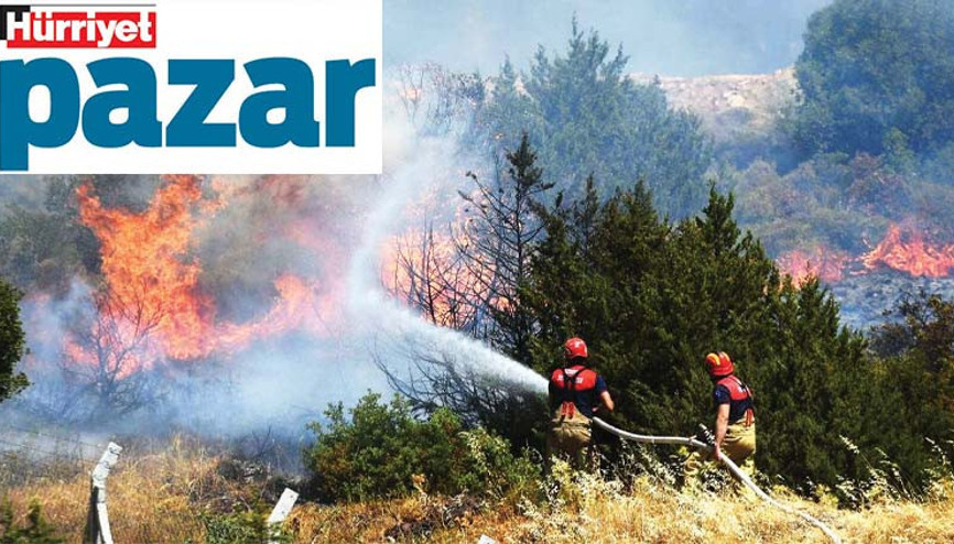 ‘Ormanda insan faaliyeti arttıkça yangınlar çoğalıyor’