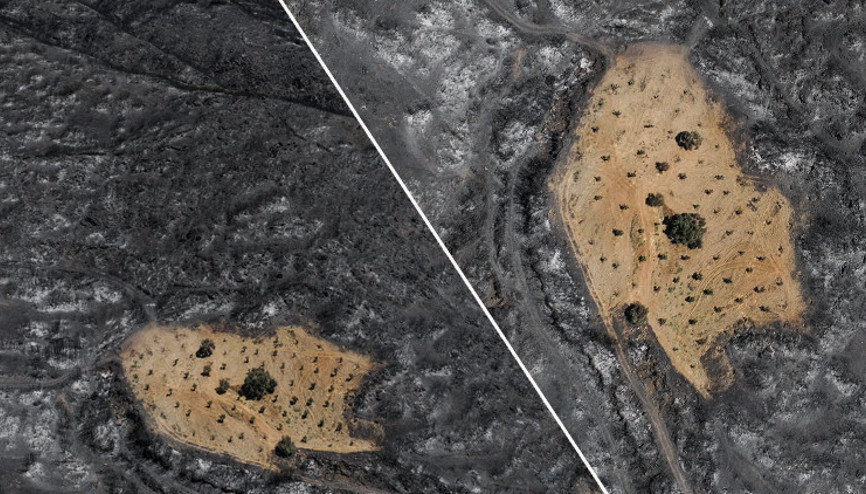 İzmir Ödemiş yangınında bir tek orası yanmadı Yangından böyle korumuş: Emeğimin karşılığını aldım