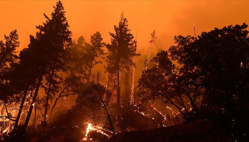 Suriyedeki orman yangını 3 gündür sürüyor