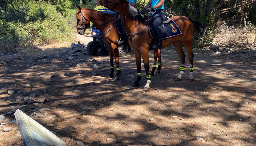 Yasak Orman Alanına Girenlere Ceza