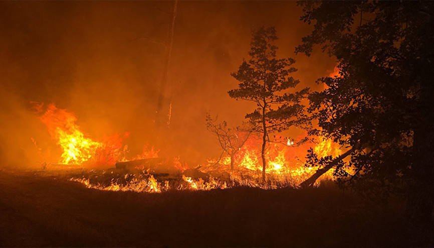 Almanyada orman yangınlarıyla mücadele sürüyor