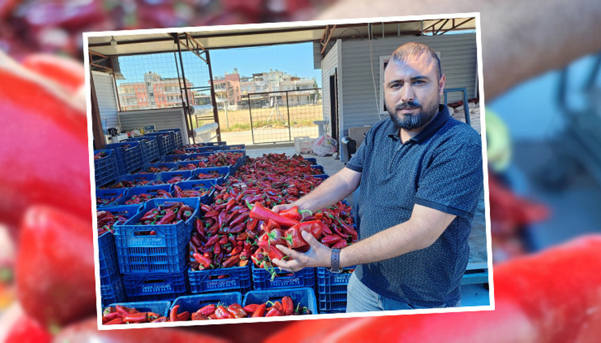 Kışın kilosu 100 lirayı buluyordu | Hazırlık başladı: Vatandaş kasa kasa satın alıyor