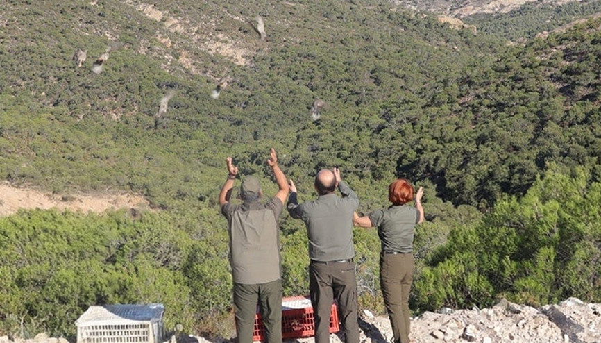 Sosyal medyada esprili paylaşımlarla gündem olmuşlardı... Bin 500 tanesi daha doğaya salındı