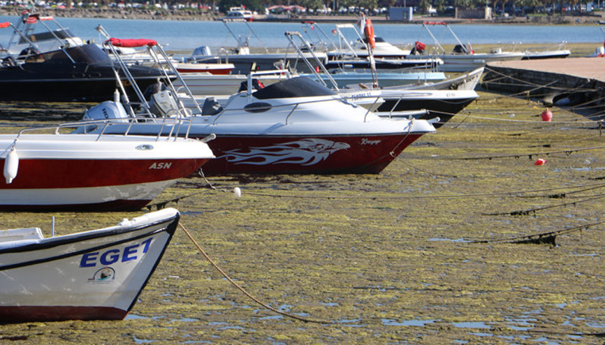 Doç. Dr. Özgür Baytut: Müsilaj, ekolojik bir deniz felaketidir