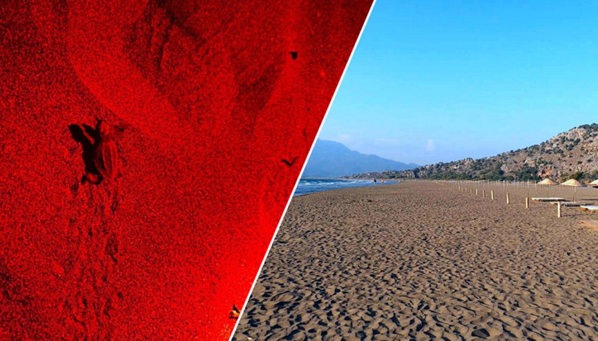 Yılın ilk buluşması Muğlada gerçekleşti 70 günlük süreç bitti