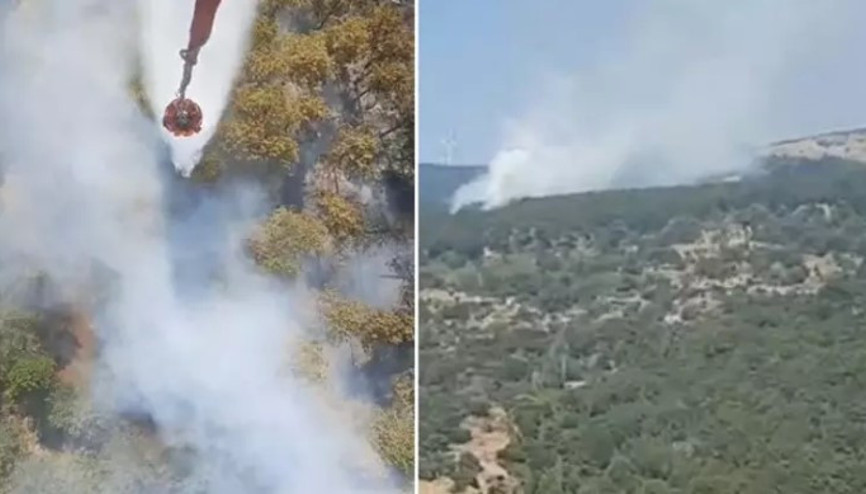 Aydın’ın Çine ilçesinde orman yangını