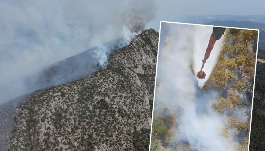 Aydın ve Bilecikte orman yangını