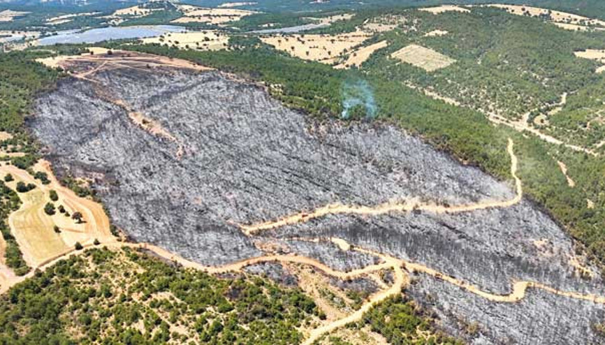 Uşak’ın yeşili yangınla karardı