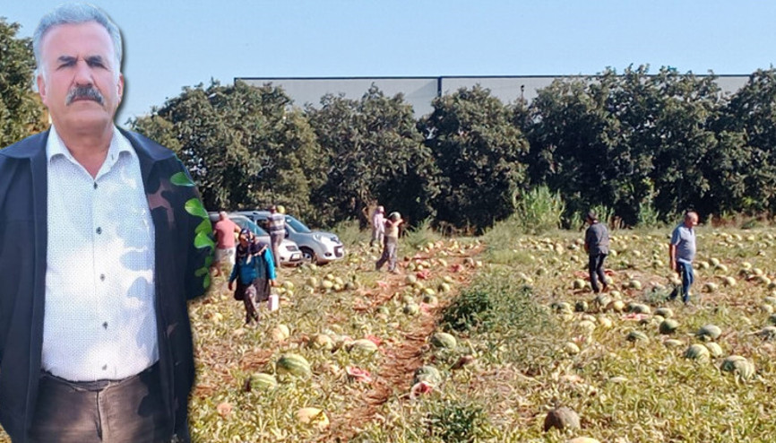 Antalyada sosyal medyadan çağrı yaptı Bedava dağıttı: Tam 120 ton...