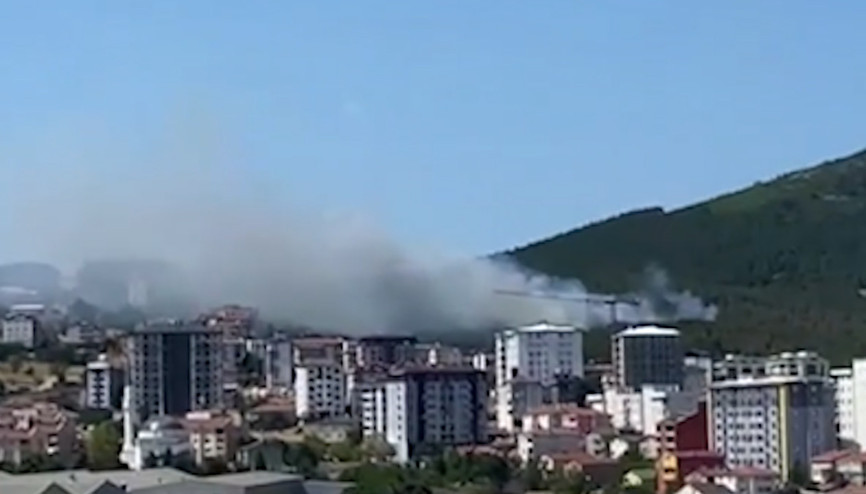 Aydos Ormanında yangın