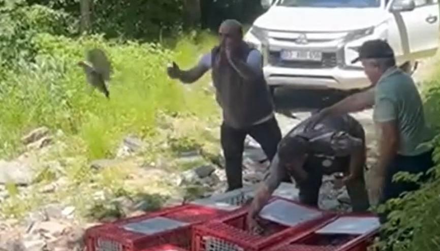 Kanatlı timin mücadelesi sürüyor 1.400 tanesi daha doğaya salındı...