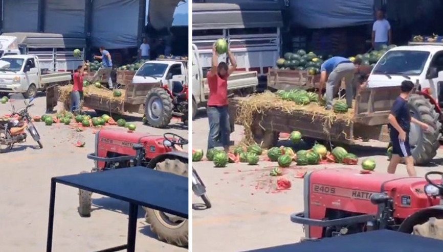 Sakaryada karpuzları yere atıp, parçalayan üreticiler hakkında işlem başlatıldı