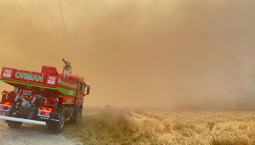 Boluda tarım arazisinde çıkan yangın ormana sıçradı